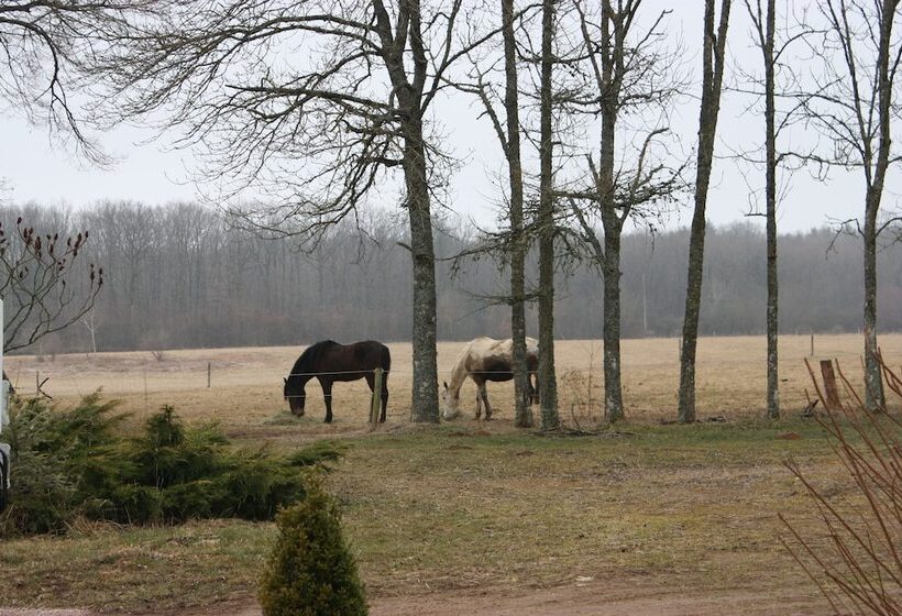 펜션 Chambres Du Domaine Saint Anges