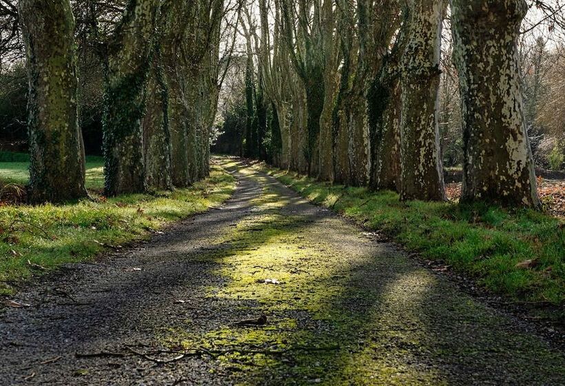 호텔 Le Domaine De Camboyer, The Originals Collection