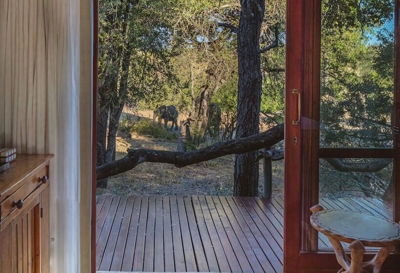 酒店 African Retreat Motswari By Newmark