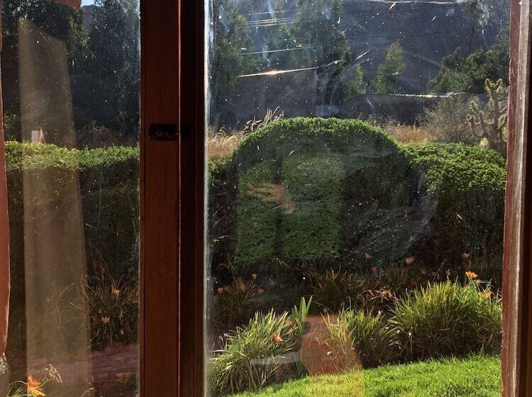 ホテル La Casa De Mamayacchi