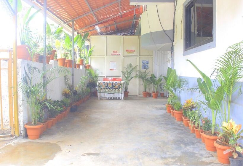 هتل Roshni   The Luxury Guest House