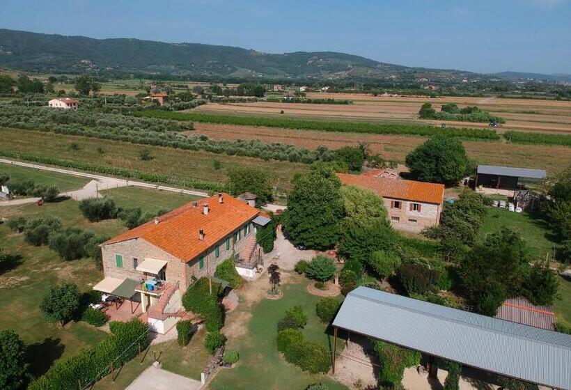 Отель Agriturismo Brocca