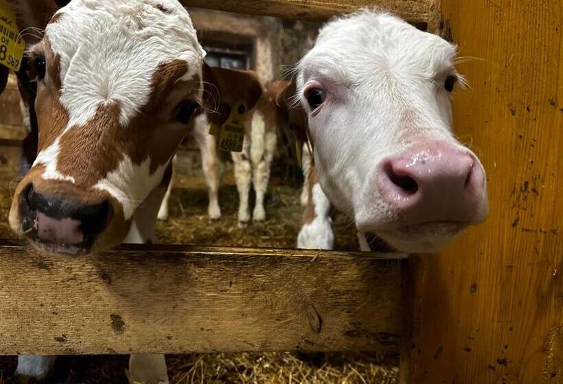 בית מלון כפרי Klöckhof