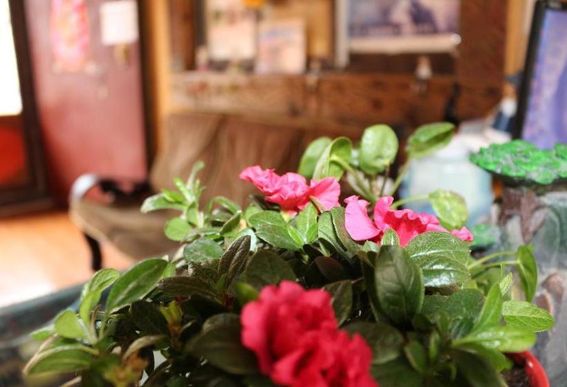 هاستل Shangajoy Seasons Inn