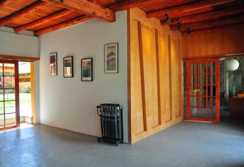 هتل The Vitality Inn