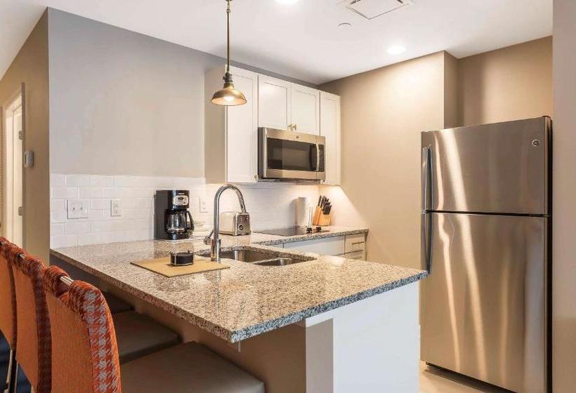 בית מלון כפרי King 583