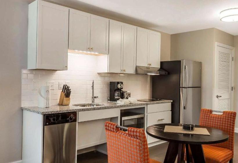 בית מלון כפרי King 583