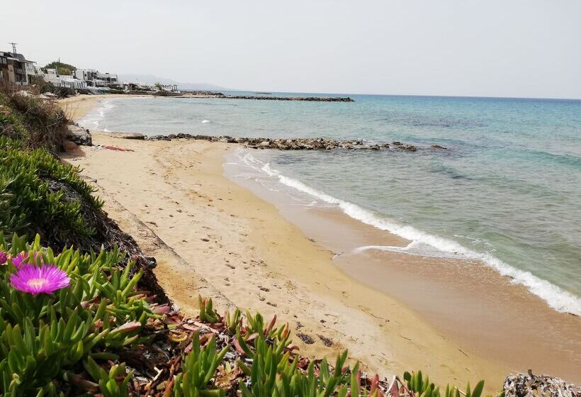 בית מלון כפרי Almare Beach