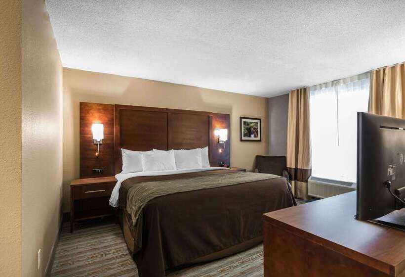 فندق Comfort Inn Bay City  Riverfront