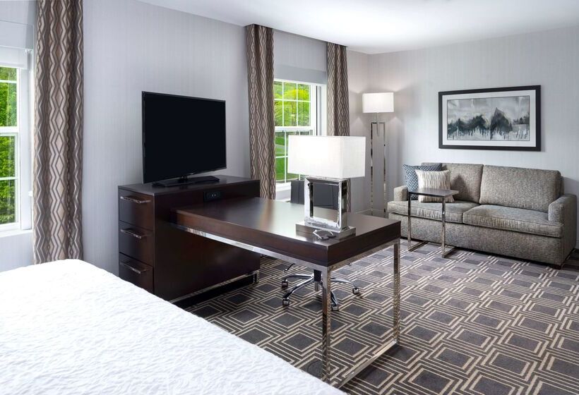 فندق Hampton Inn & Suites Bridgewater