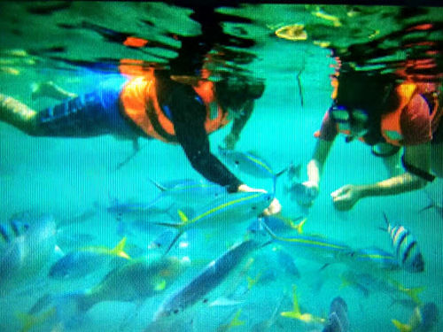 酒店 Marina Bay Resort & Restaurant