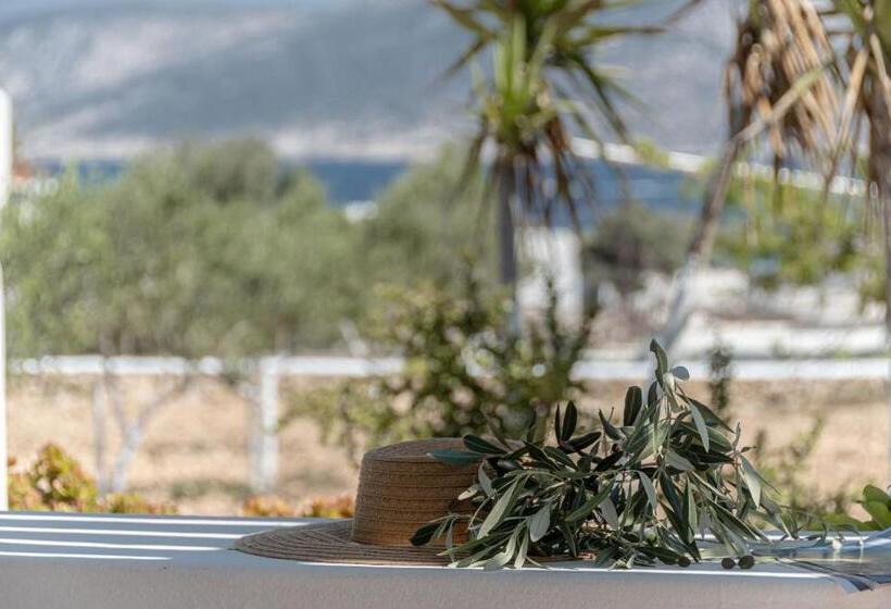 酒店 Michalios Luxury Apartments