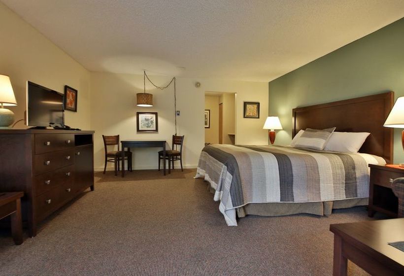 فندق على الطريق Harbor Inn