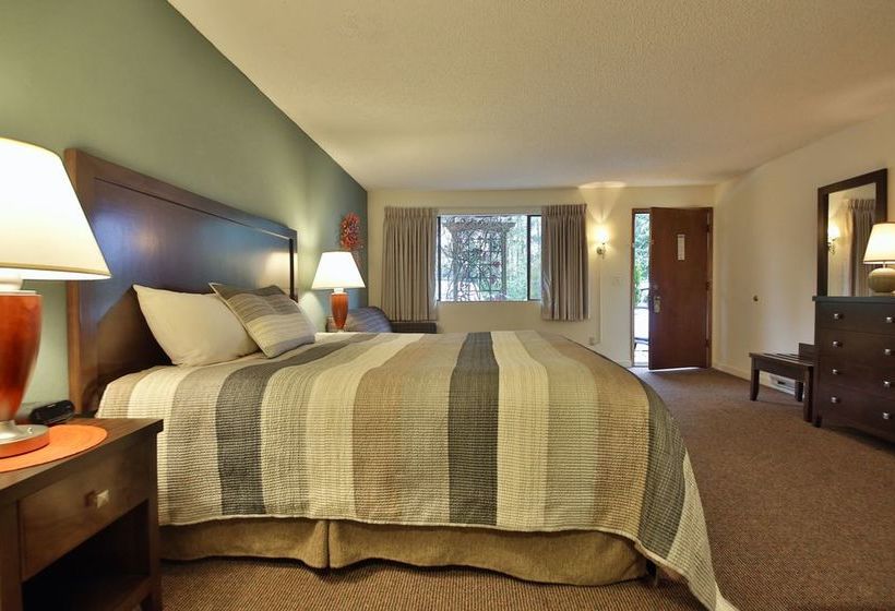 فندق على الطريق Harbor Inn