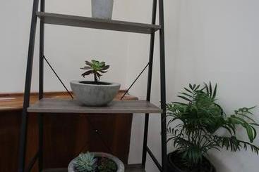 هاستل The Nook Backpackers
