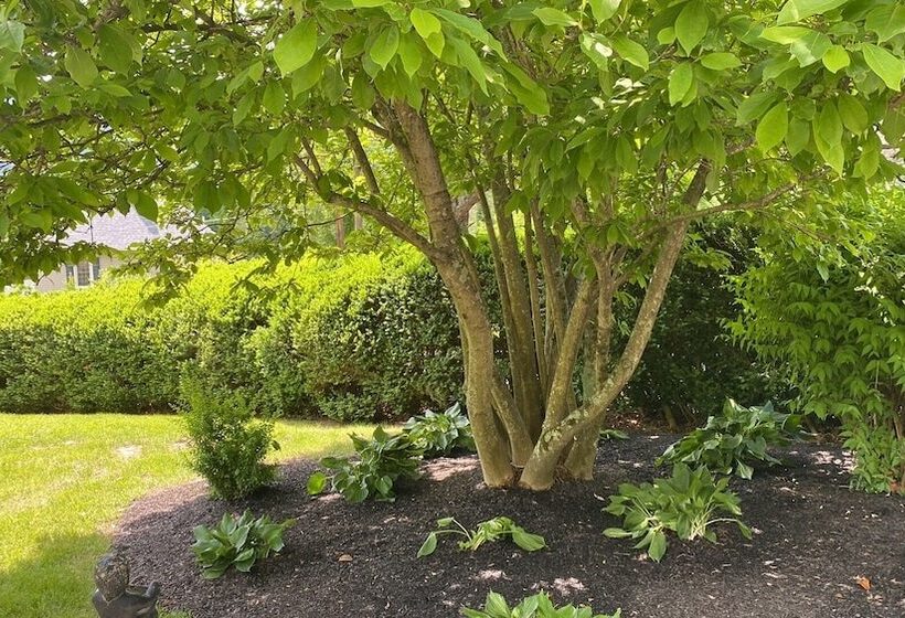 민박 Hillcrest Mansion Inn