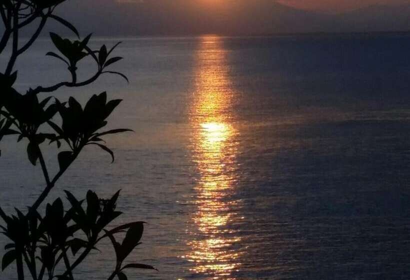 Toyabali  Resort