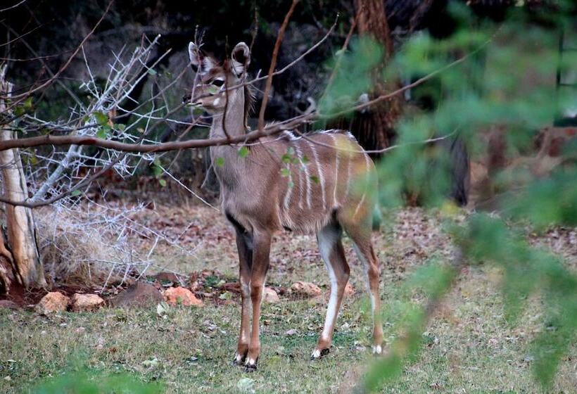 ホテル Baluleni Safari Lodge