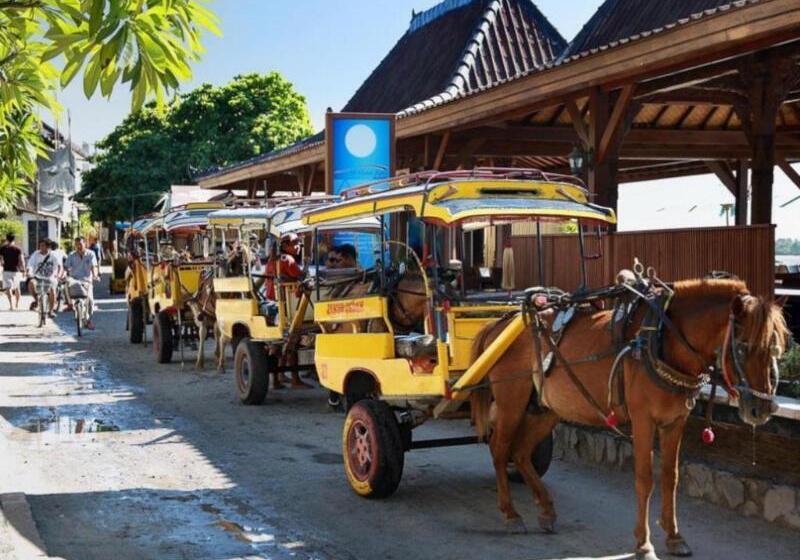 هتل Pinkcoco Gili Trawangan   Constant Surprises   For Cool Adults Only