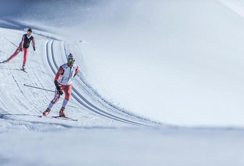 בית מלון כפרי Erika