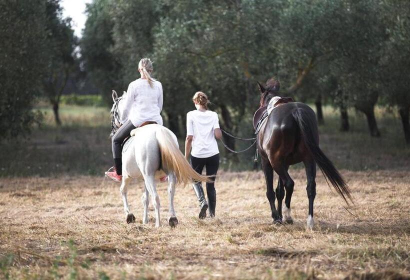 Masseria Prosperi