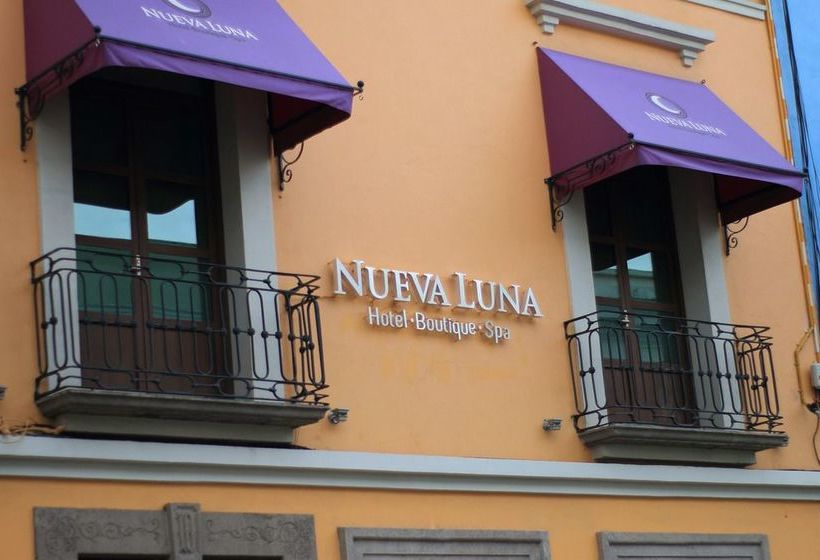 Fotos del hotel Forrest & Spa Puebla:  6