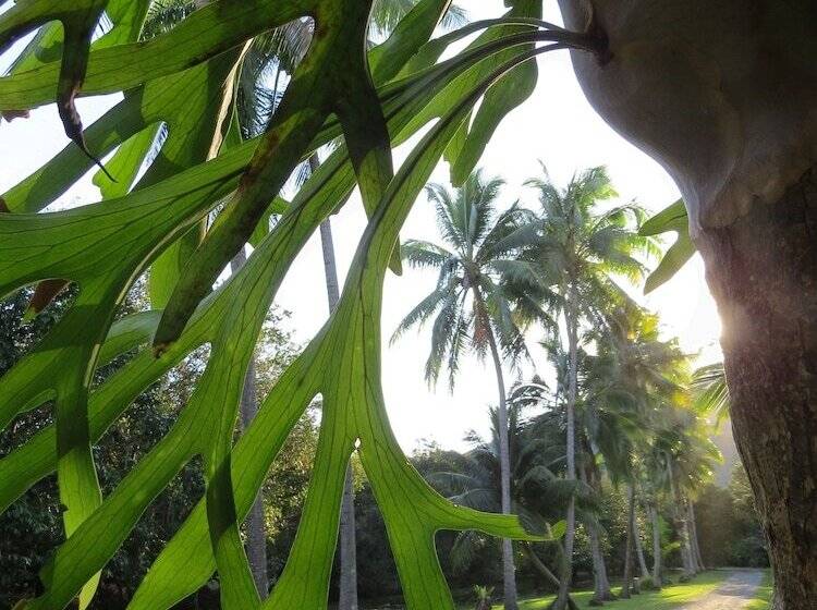 ベッドアンドブレックファースト Cape Trib Farm