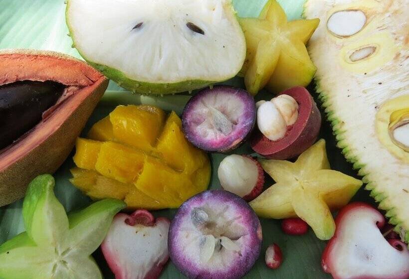住宿加早餐  Cape Trib Farm