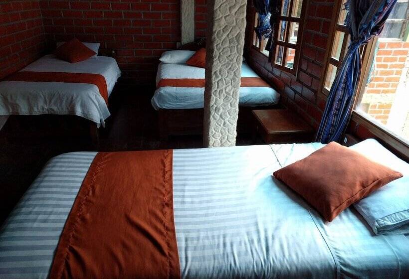 هتل Erupcion Backpackers Hostel