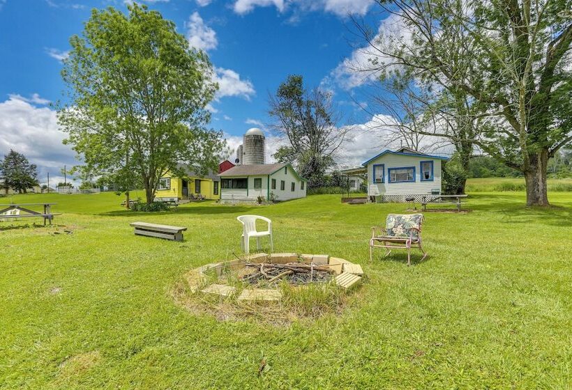 Honesdale Cabin: 110 Shared Acres, Animal Rescue!