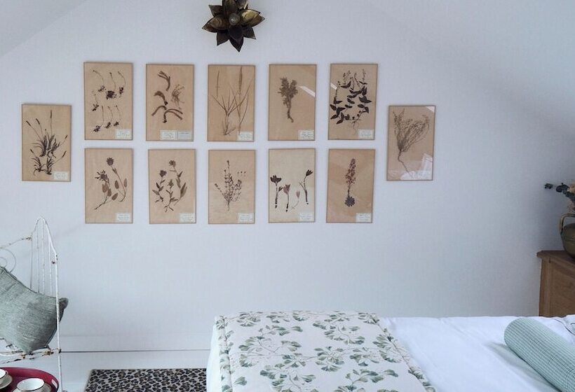 בית מלון כפרי Maison Mouche