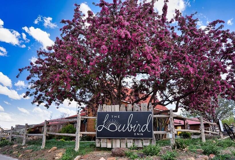 צימר The Loubird Inn
