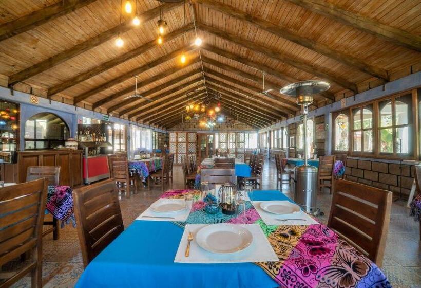 هتل Xiadani Restaurante, Temazcal & Spa