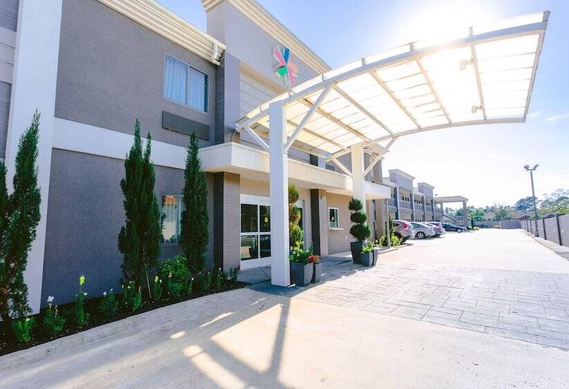מוטל Express Inn  Spring