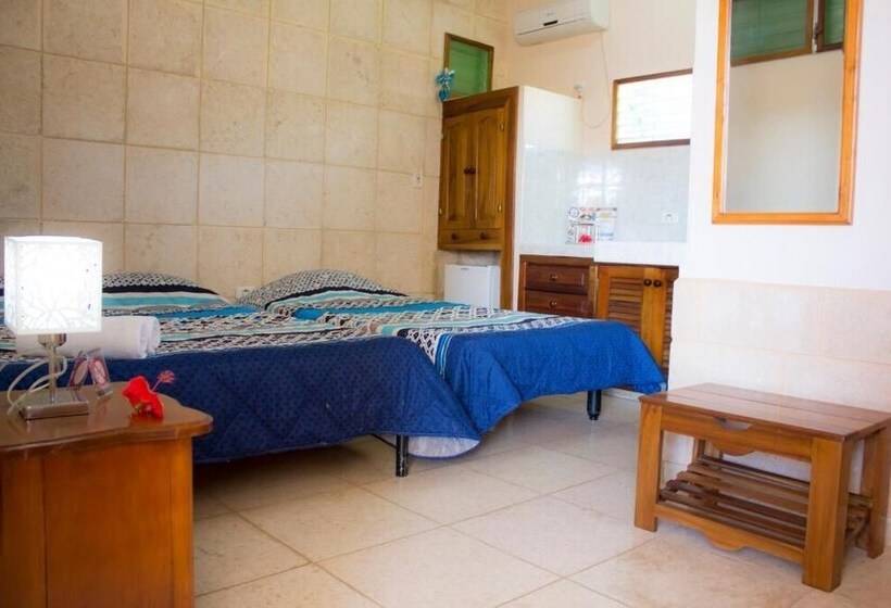 Hostal V&b