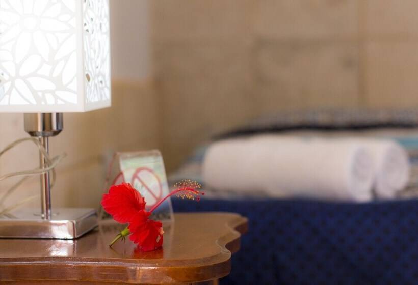 Hostal V&b