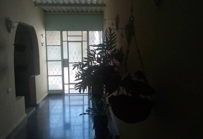 پانسیون I Colibrí