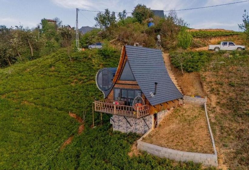 カプセルホテル Himora Bungalov
