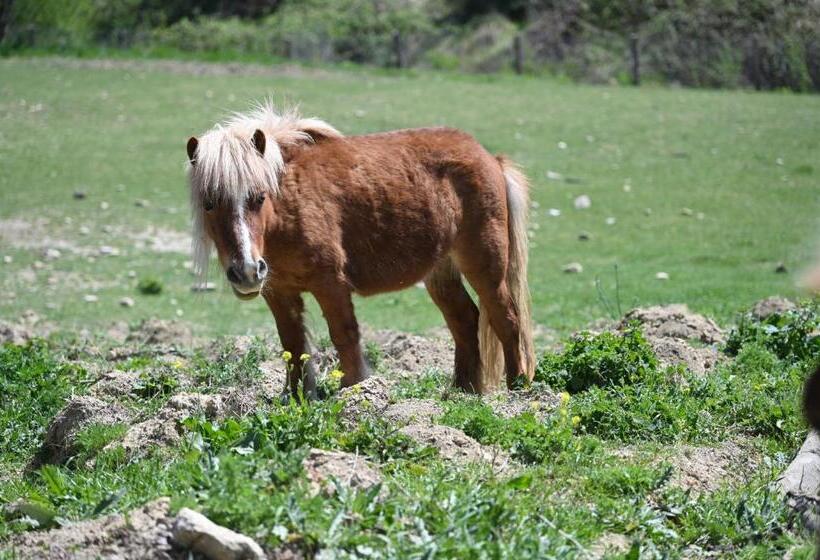 مبيت وإفطار Agribnb Casa Furnaredda