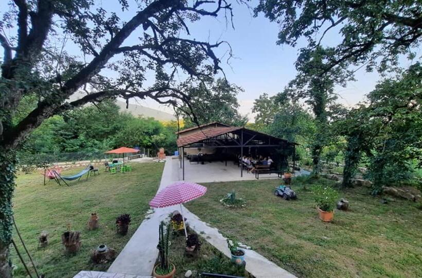 هاستل Dali S Guest House