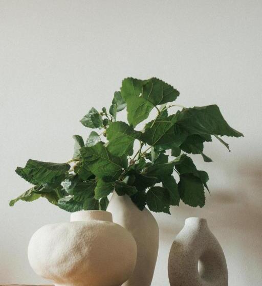 הוסטל Locanda Degli Ulivi