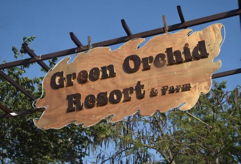 Green Orchid Resort And Farm
