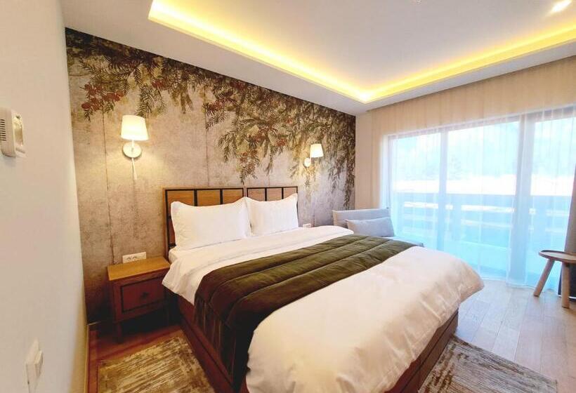 בית מלון כפרי Pensiunea Leonida   Resort Leonida