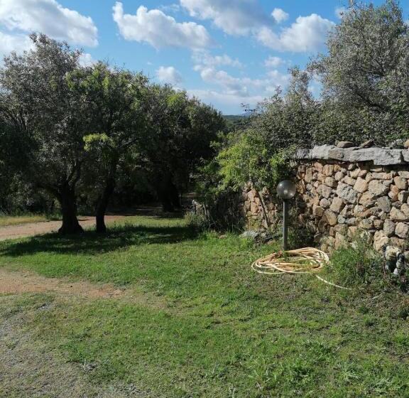 بنسيون Casa Orecchioni