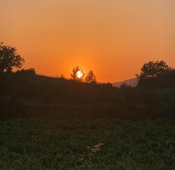 住宿加早餐  Côté Ansouis