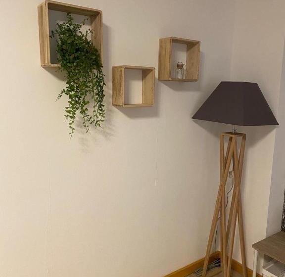 פנסיון Forest Apartment Forest Escape Menzenschwand