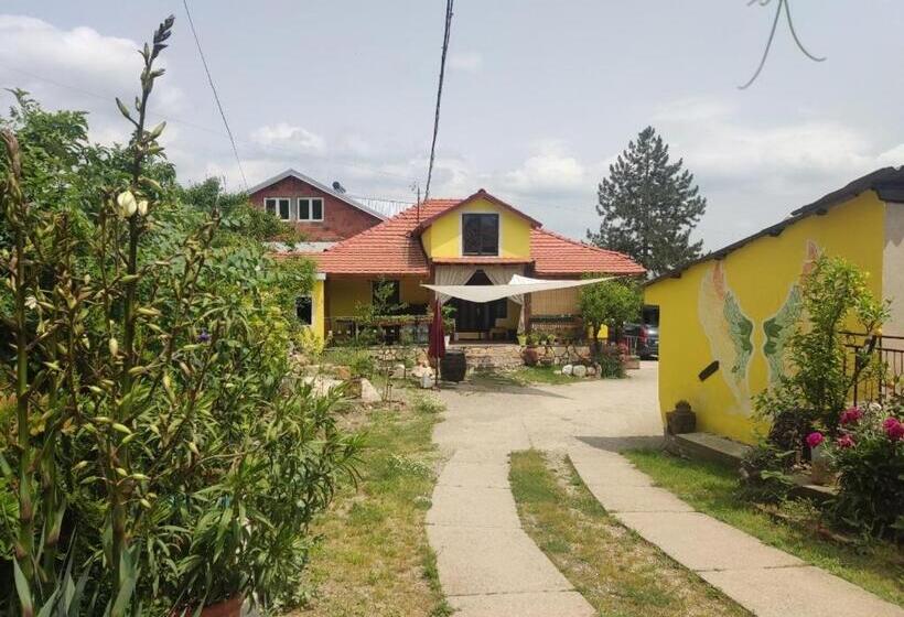 Schronisko Lemon Garden