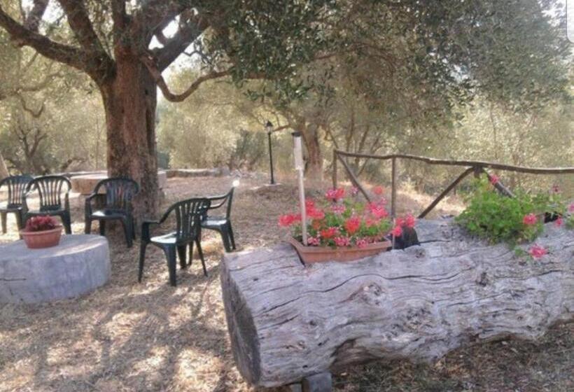 تختخواب و صبحانه Antiche Macine