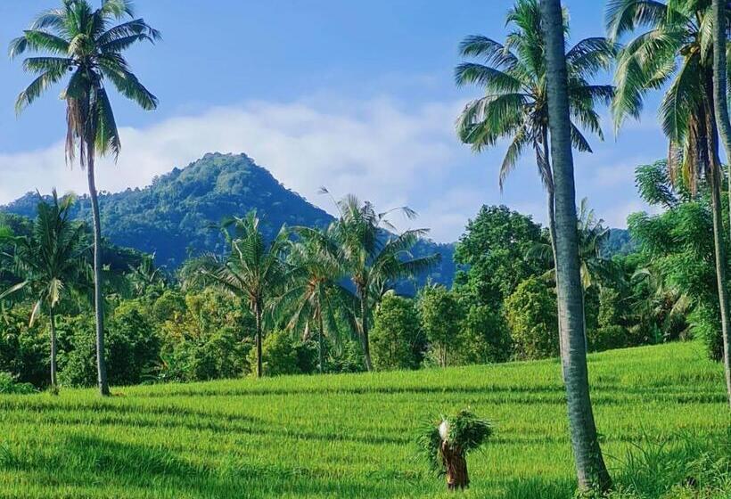 住宿加早餐  Omantra Home Bali