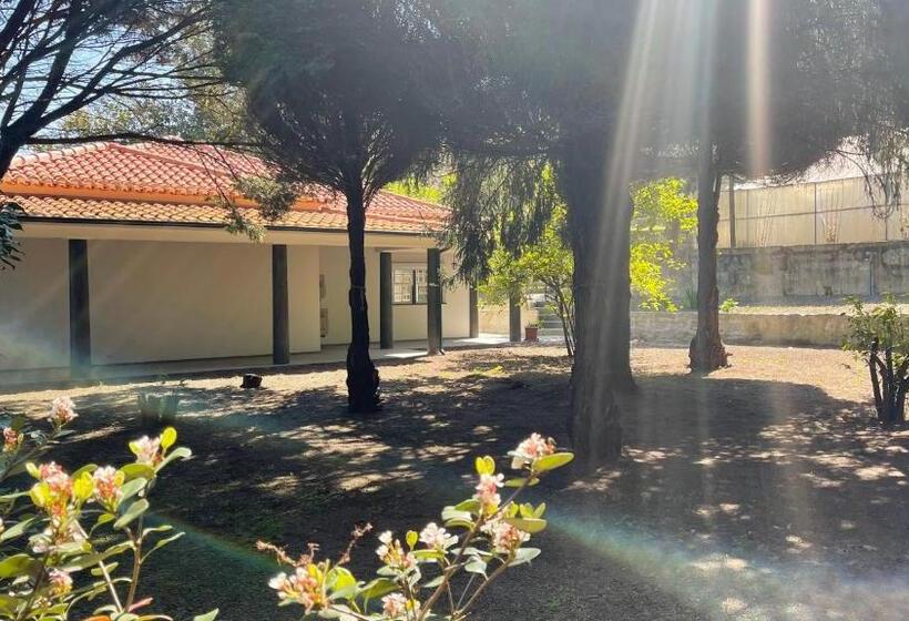 مبيت وإفطار Solar Da Boavista